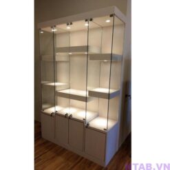 Tủ trưng bày cao cấp TTB009